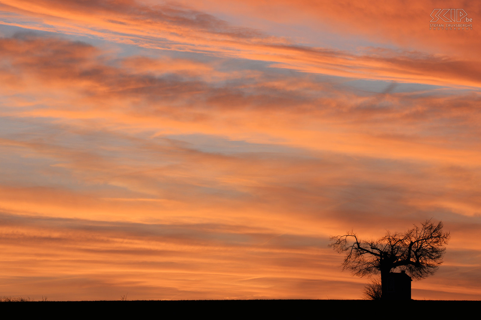 Winter in Sint-Pieters-Rode - Sunrise at chapel Sunrise at the chapel of Saint Joseph. The chapel is located in a field under an old linden tree in Sint-Pieters-Rode, Holsbeek, Belgium. Stefan Cruysberghs